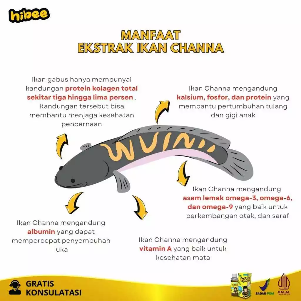 Hibee Original Madu Gemuk Anak - Multivitamin Nutrisi Penambah Nafsu Makan & Berat Badan Anak BPOM & HALAL - Image 3